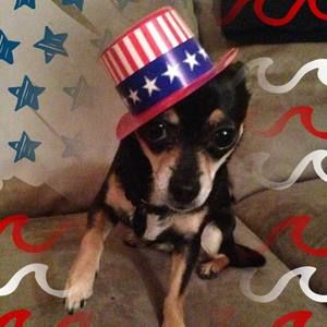 Meet your Posher, Tara